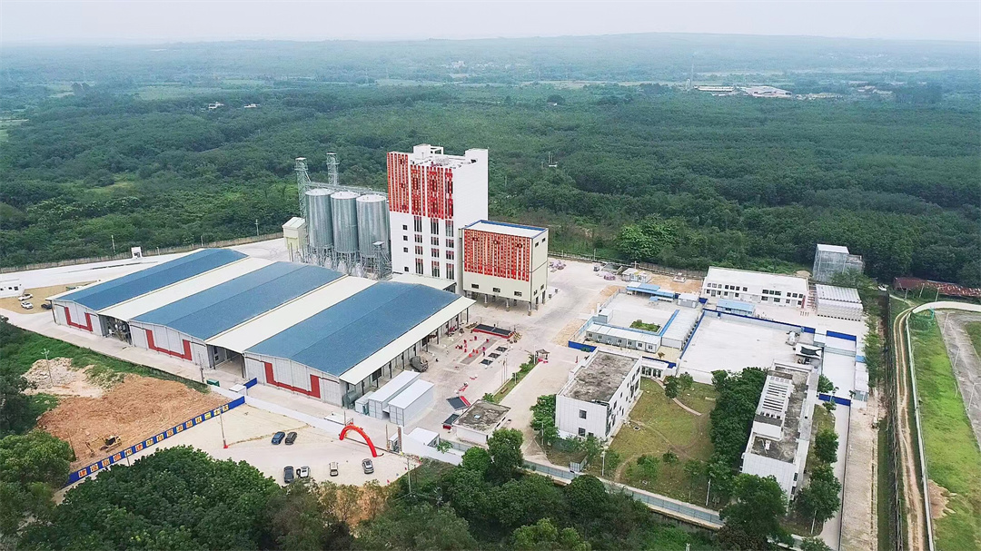 Hongyue Machinery Industrial View