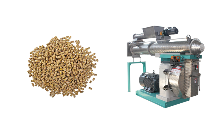 Hongyue Machinery Industrial View